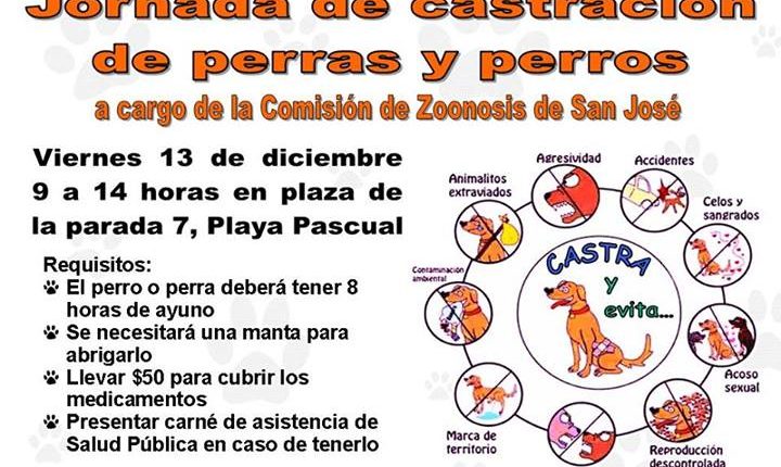 castracion
