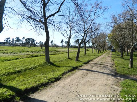 BPS-terreno-1