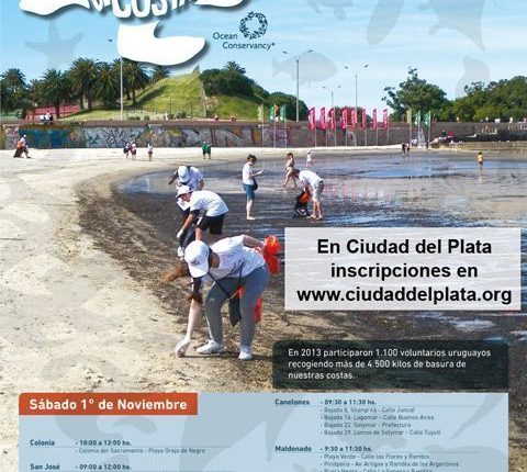 limpieza-playa-2014-web