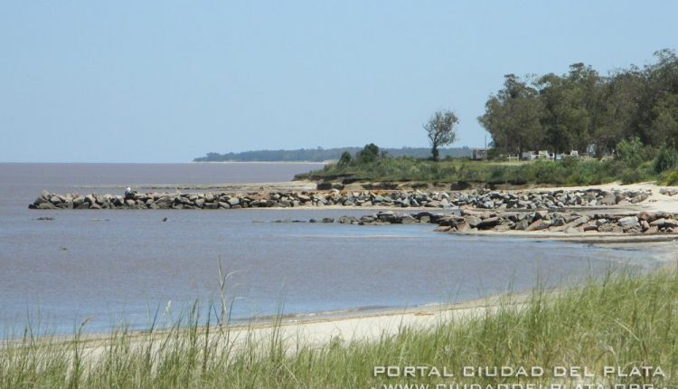 playa-pascual-nov14