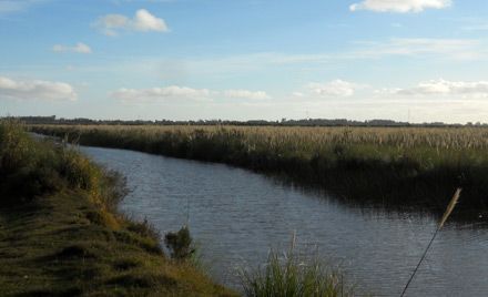 canales delta