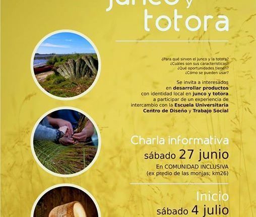 Taller junco
