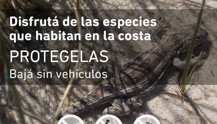 DUNAS SIN.RUEDAS