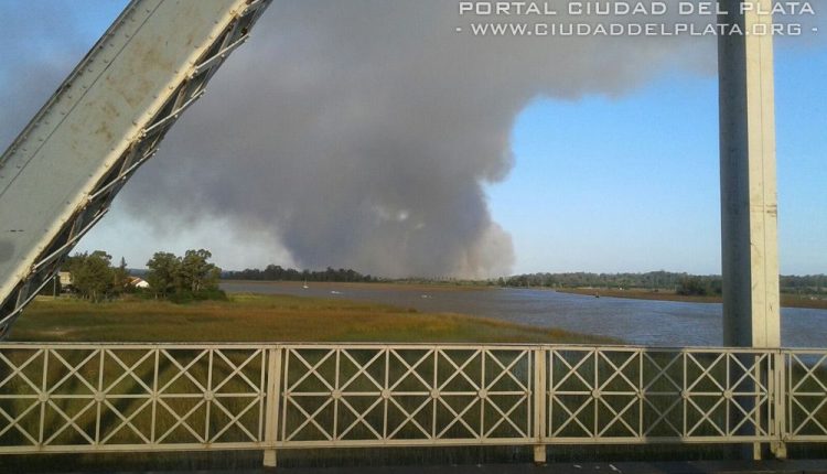 incendio can4