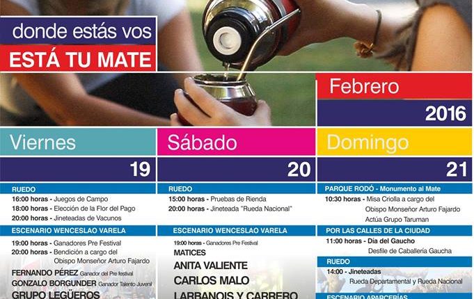 fiesta mate2