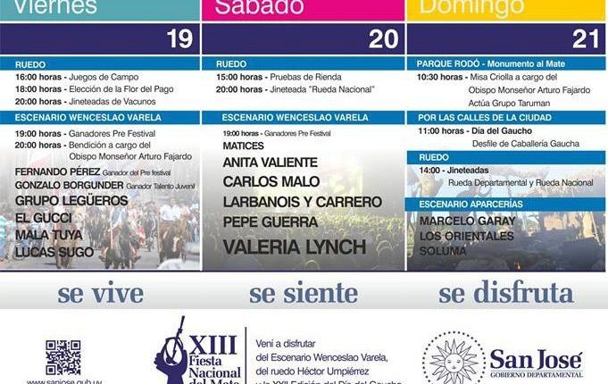 fiesta mate2016