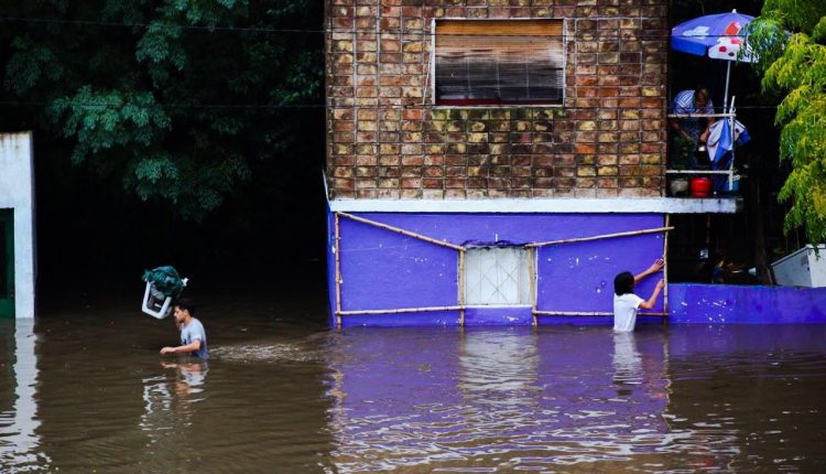 R&Iacute;O SAN JOS&Eacute; MEJORADA UNO