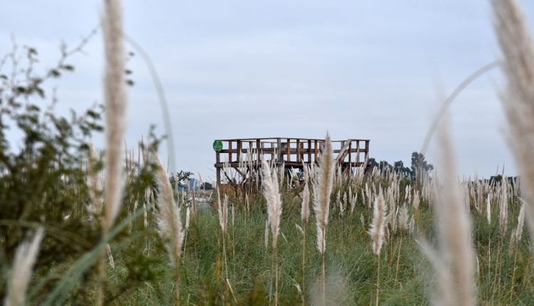 MedioAmbiente-4