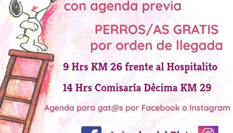 Castraciones-Octubre1